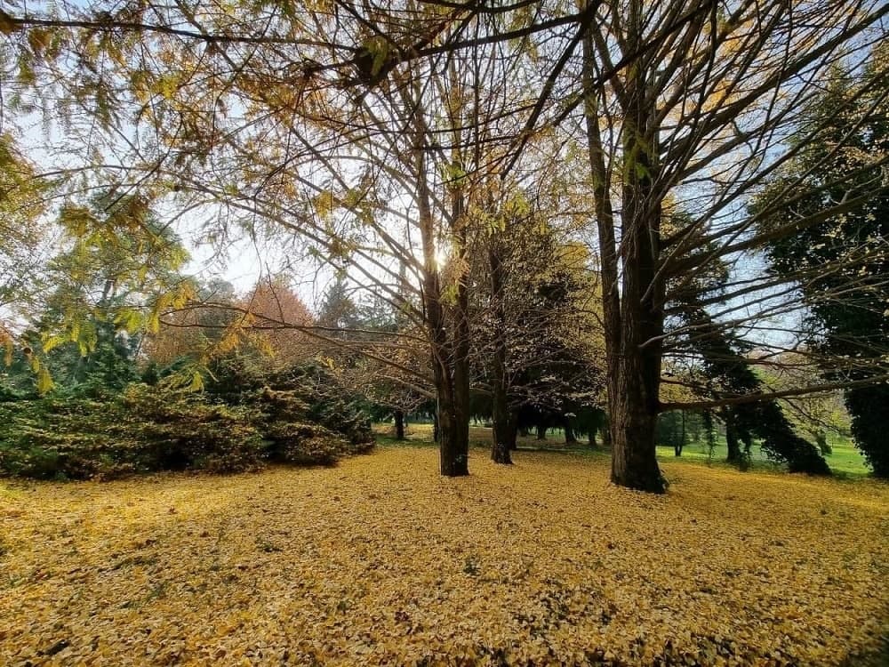 باغ گیاه شناسی نوشهر