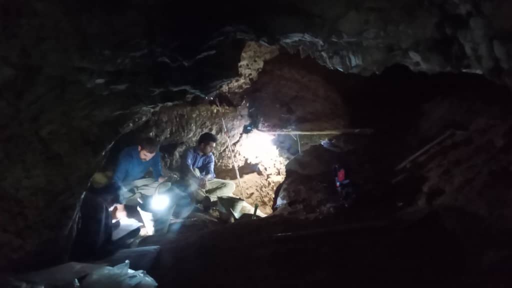 کشف بقایای جانوری دوره پلیستوسن در غار مازندران