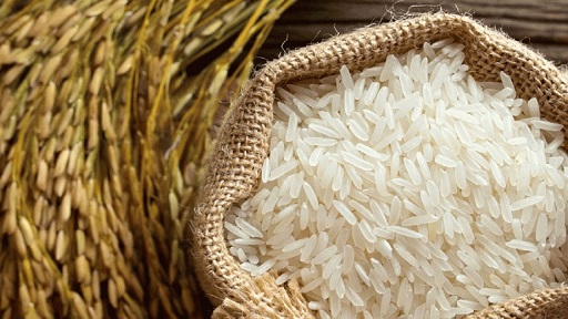 خرید ۴۰۰ تن برنج پرمحصول از کشاورزان مازندرانی