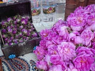 جشنواره سیر "اَتو" و گل محمدی "سنگده" در مازندران برگزار شد