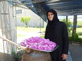 جشنواره سیر "اَتو" و گل محمدی "سنگده" در مازندران برگزار شد