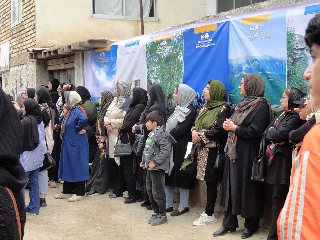 برپایی جشنواره هلی ترشی در مازندران	